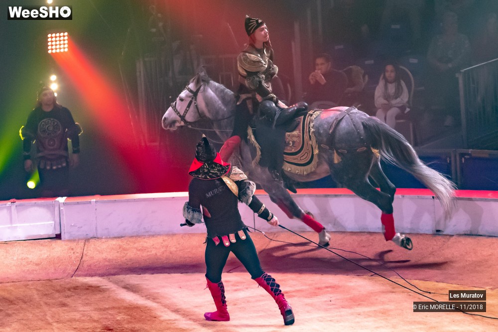 30/50 photos du spectacle Les Muratov - Equestre