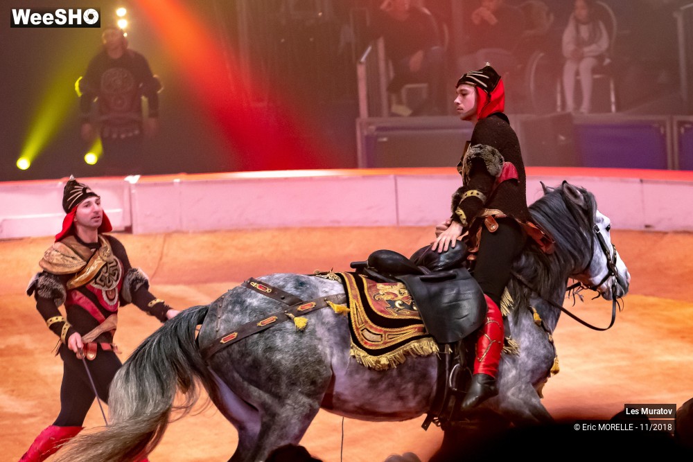 31/50 photos du spectacle Les Muratov - Equestre