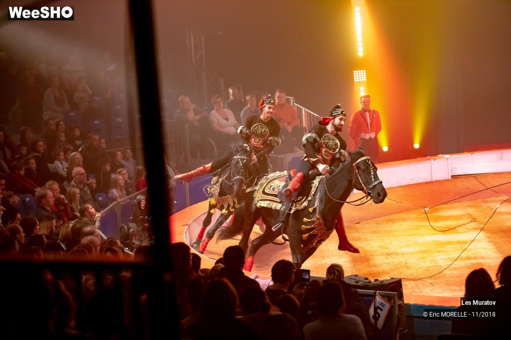 32/50 photos du spectacle Les Muratov - Equestre