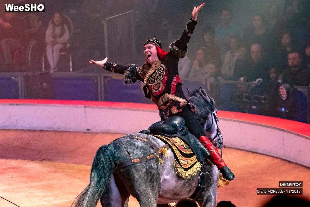 33/50 photos du spectacle Les Muratov - Equestre
