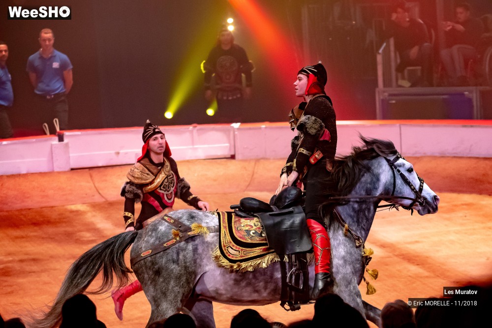 34/50 photos du spectacle Les Muratov - Equestre