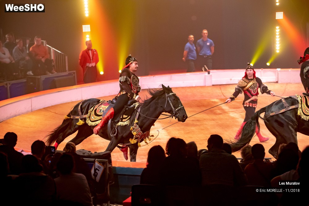 35/50 photos du spectacle Les Muratov - Equestre