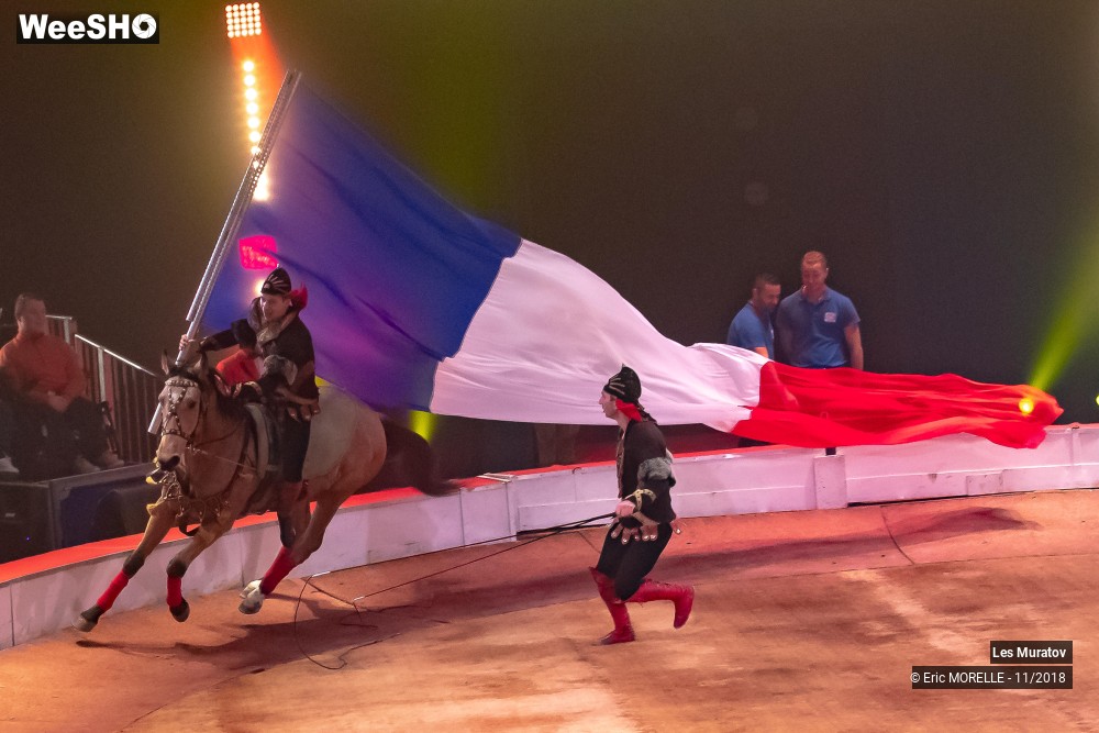 36/50 photos du spectacle Les Muratov - Equestre