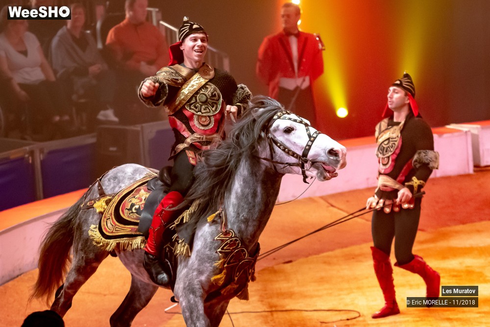 37/50 photos du spectacle Les Muratov - Equestre