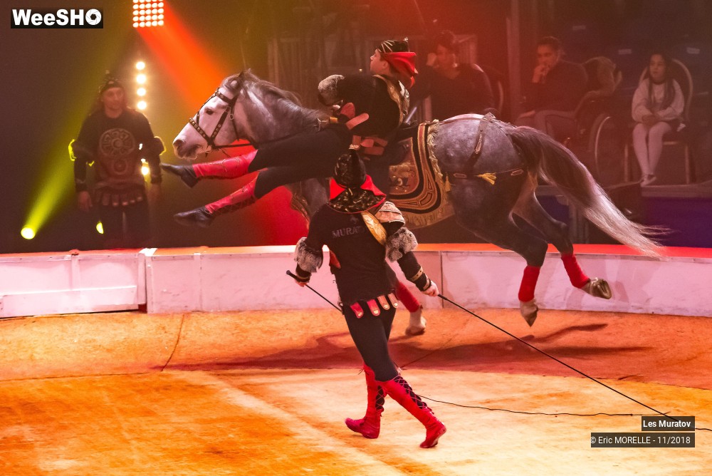 38/50 photos du spectacle Les Muratov - Equestre