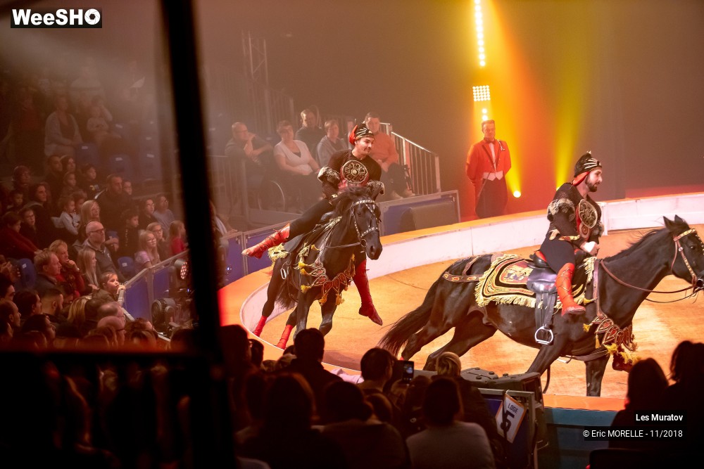 39/50 photos du spectacle Les Muratov - Equestre