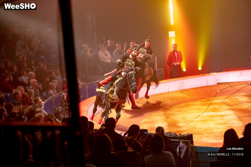 40/50 photos du spectacle Les Muratov - Equestre