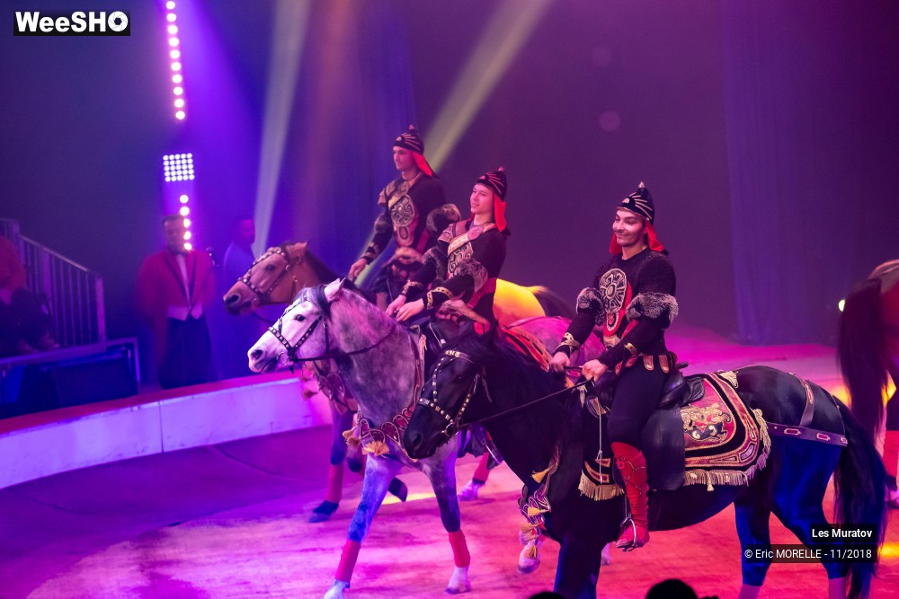 41/50 photos du spectacle Les Muratov - Equestre