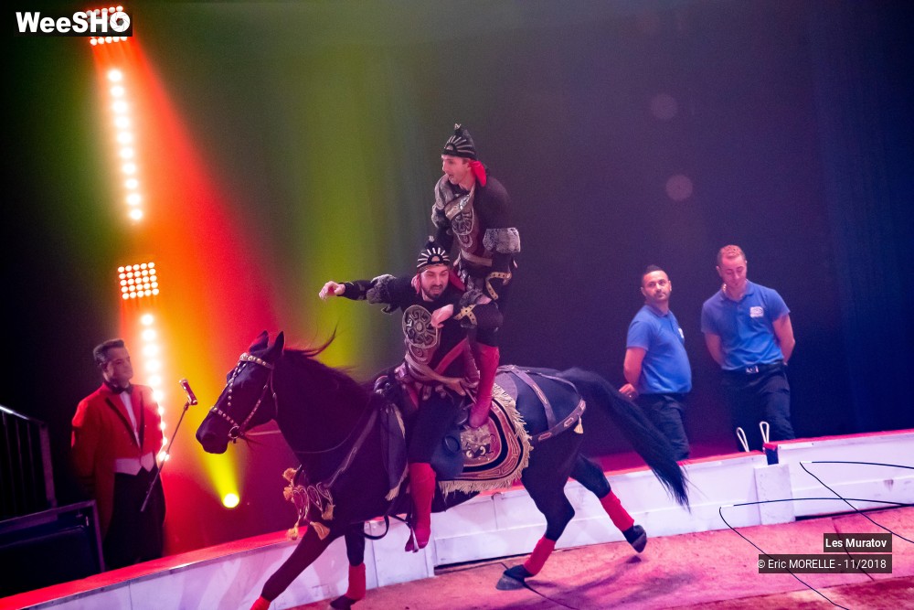 42/50 photos du spectacle Les Muratov - Equestre