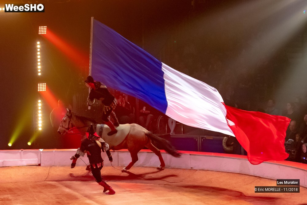 43/50 photos du spectacle Les Muratov - Equestre