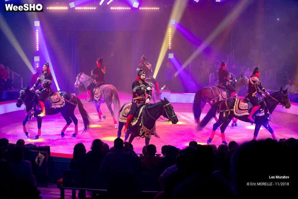45/50 photos du spectacle Les Muratov - Equestre