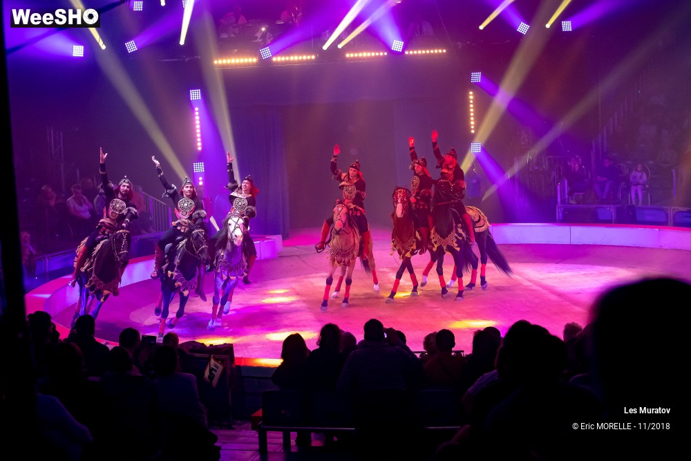 46/50 photos du spectacle Les Muratov - Equestre