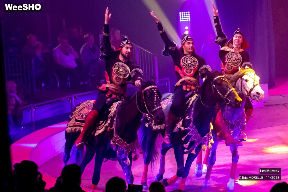47/50 photos du spectacle Les Muratov - Equestre