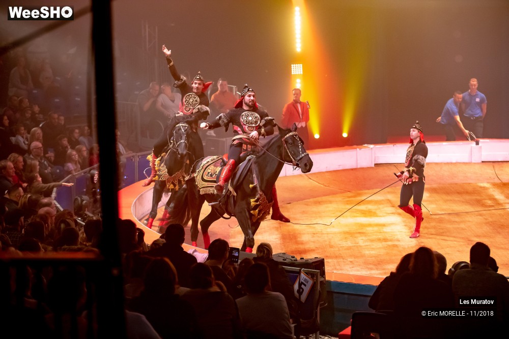 48/50 photos du spectacle Les Muratov - Equestre