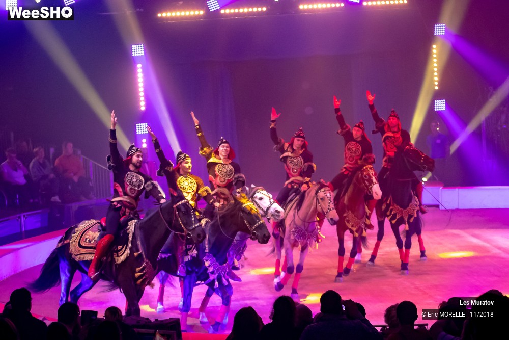 50/50 photos du spectacle Les Muratov - Equestre
