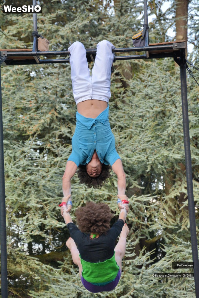 1/42 photos du spectacle Shake Shake Shake