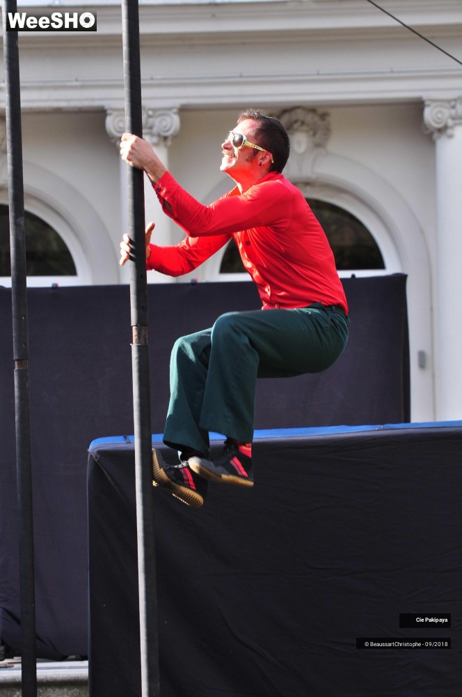 7/42 photos du spectacle Shake Shake Shake