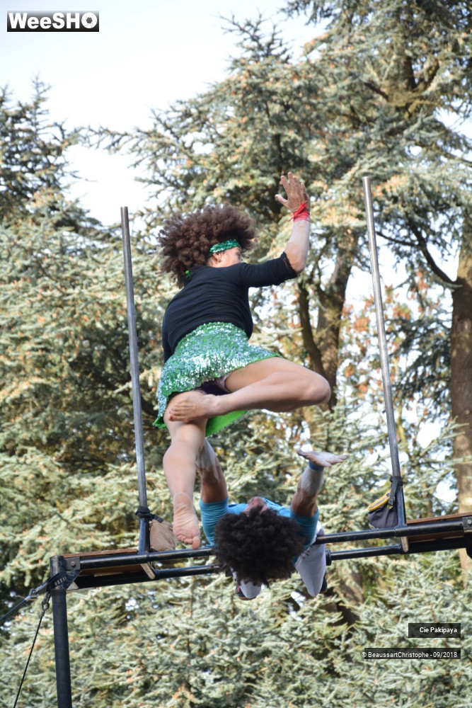 12/42 photos du spectacle Shake Shake Shake