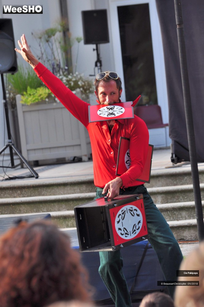 13/42 photos du spectacle Shake Shake Shake