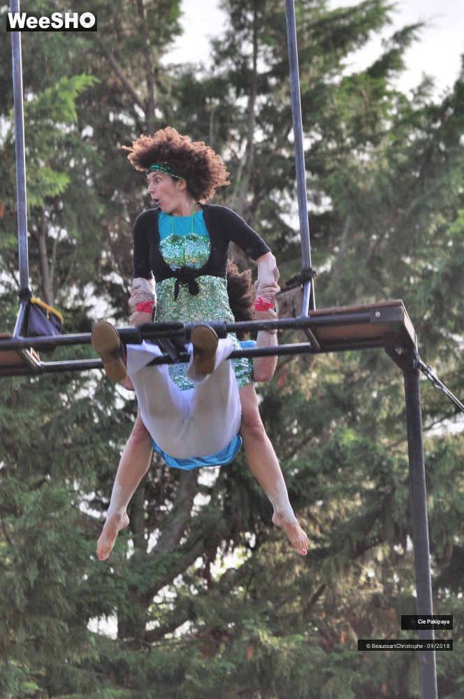 17/42 photos du spectacle Shake Shake Shake
