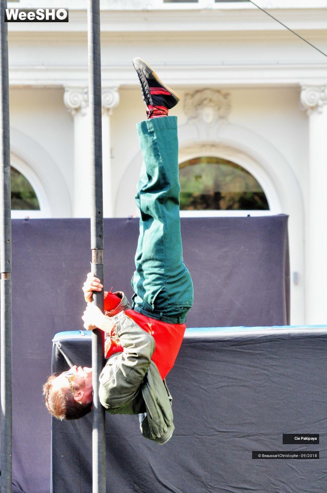 23/42 photos du spectacle Shake Shake Shake