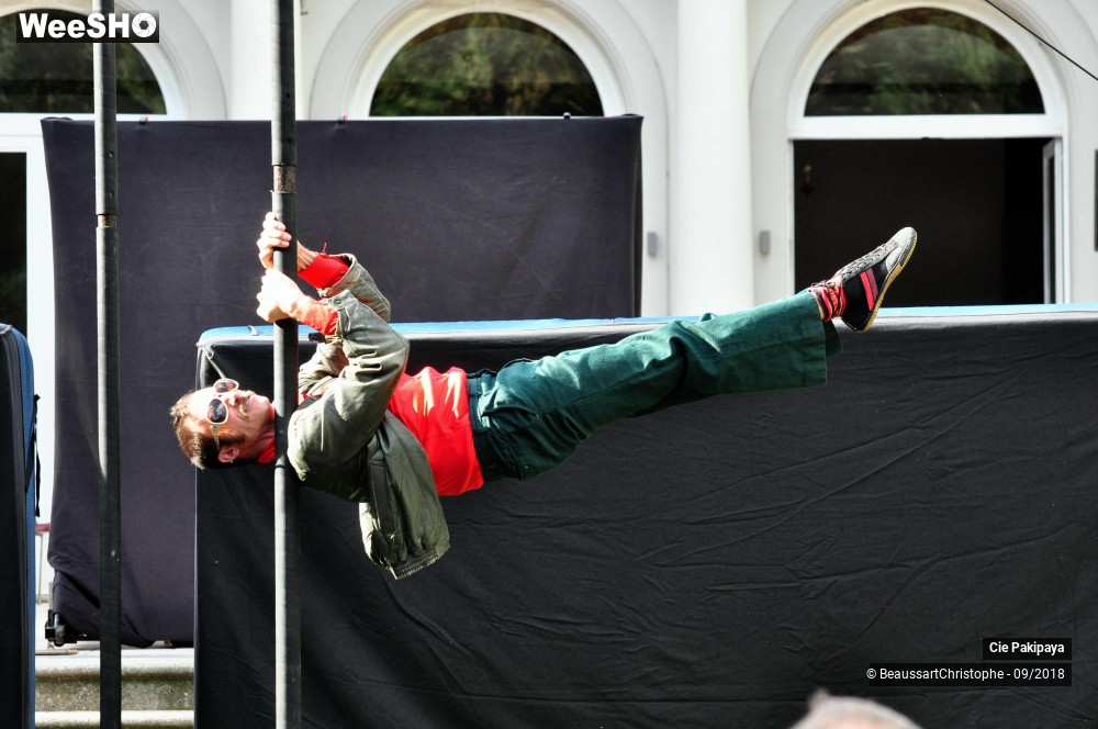 28/42 photos du spectacle Shake Shake Shake