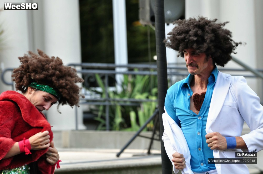 30/42 photos du spectacle Shake Shake Shake