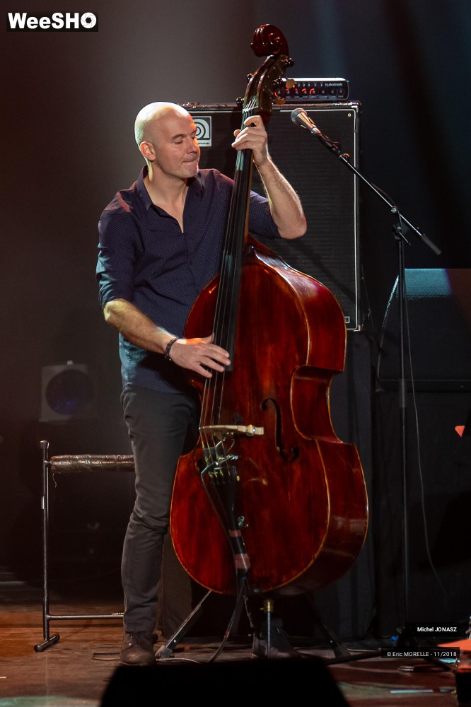 3/50 photos du spectacle Michel Jonasz