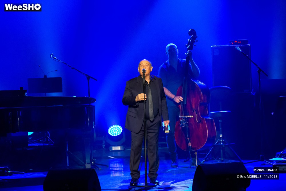 40/50 photos du spectacle Michel Jonasz