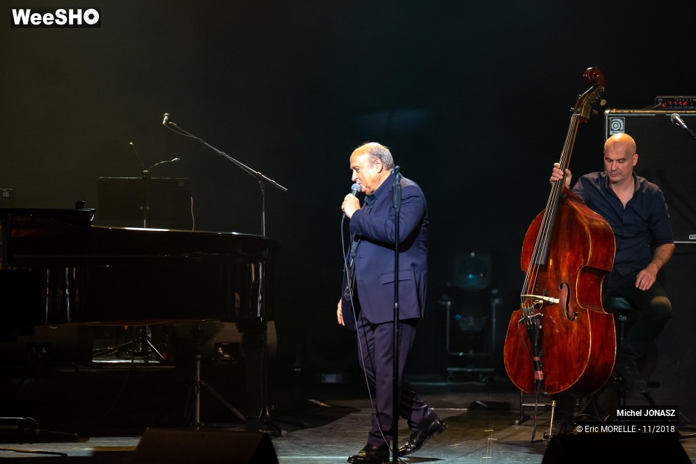 47/50 photos du spectacle Michel Jonasz