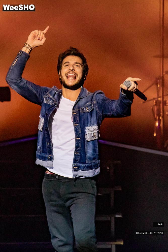 8/50 photos du spectacle Amir