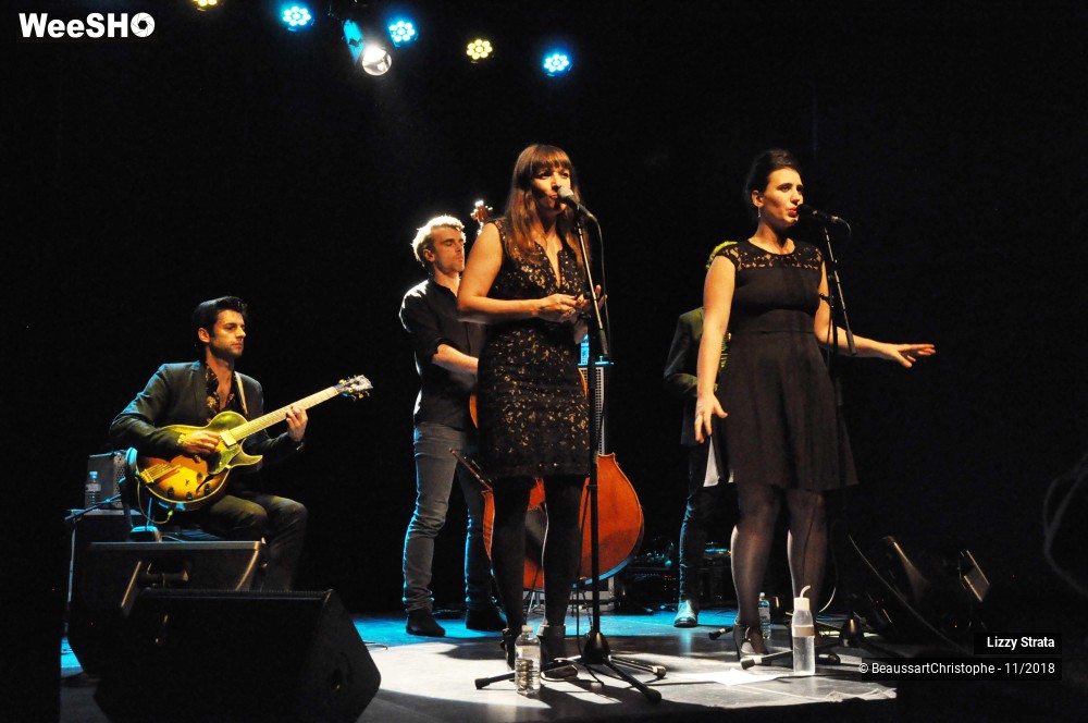 18/29 photos du spectacle Lizzy Strata