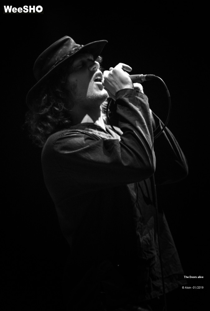 4/12 photos du spectacle The Doors alive