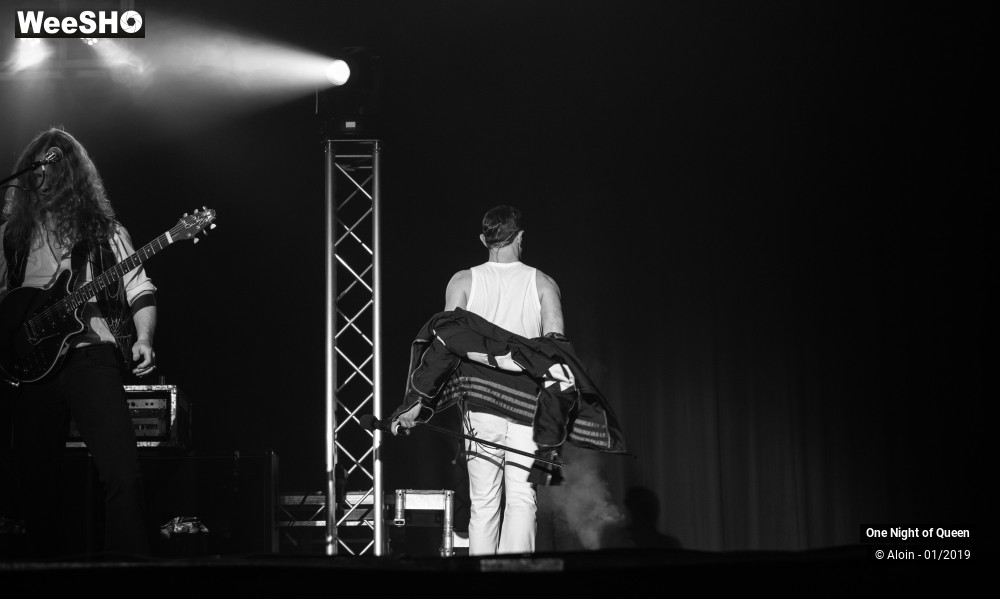 1/22 photos du spectacle One Night of Queen