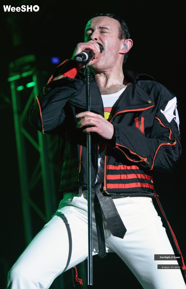 2/22 photos du spectacle One Night of Queen