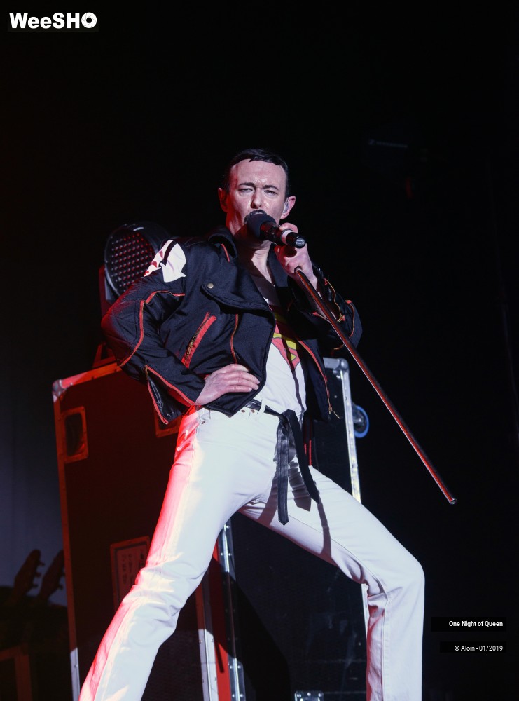 3/22 photos du spectacle One Night of Queen