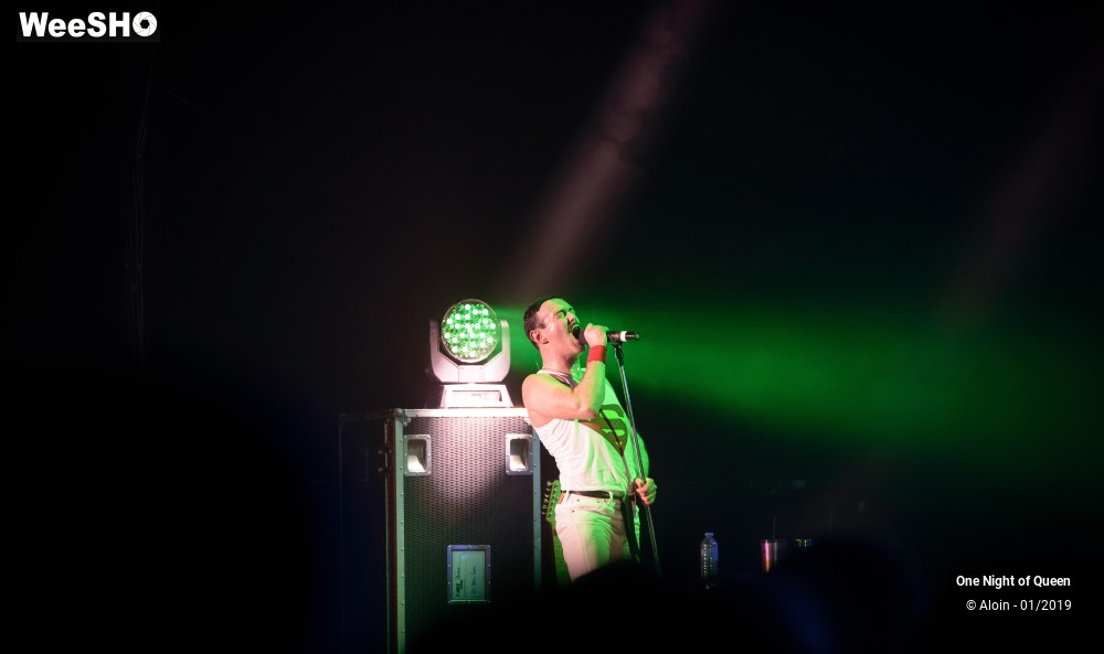 6/22 photos du spectacle One Night of Queen
