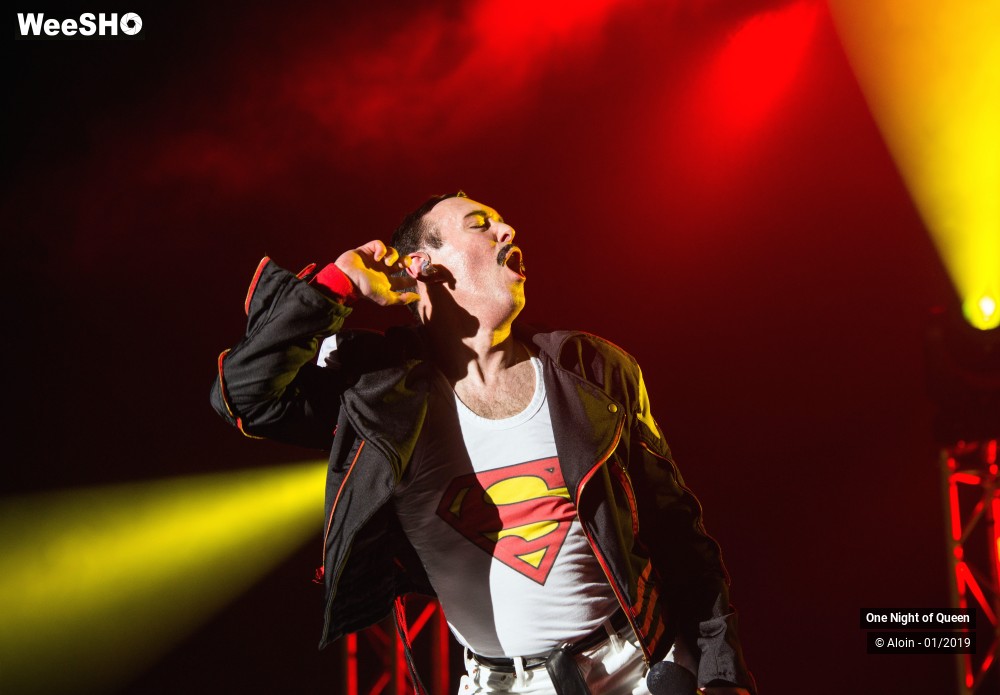 7/22 photos du spectacle One Night of Queen