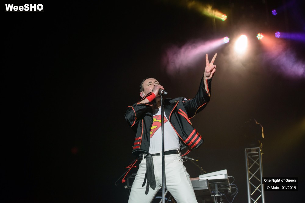 16/22 photos du spectacle One Night of Queen