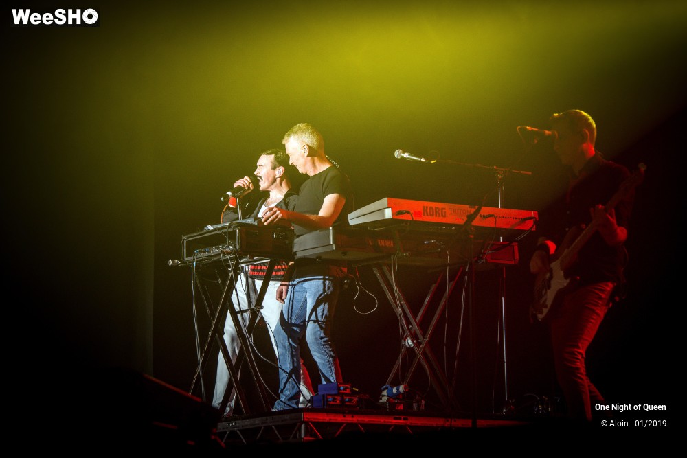 17/22 photos du spectacle One Night of Queen