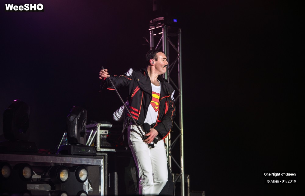18/22 photos du spectacle One Night of Queen