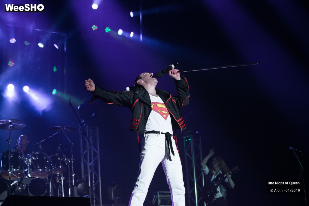 20/22 photos du spectacle One Night of Queen