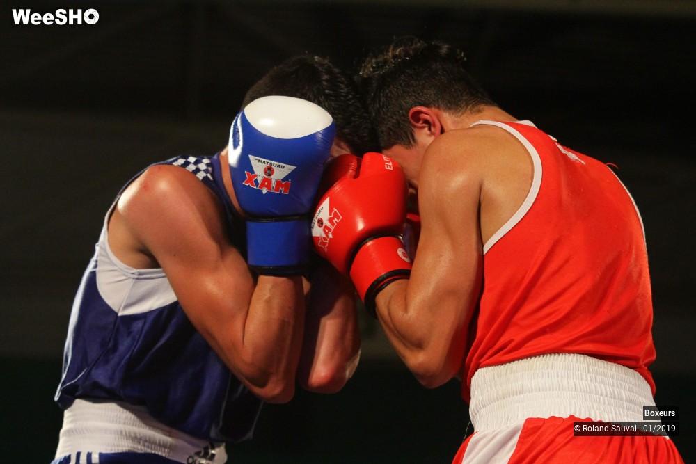 3/41 photos du spectacle Les combats amateurs