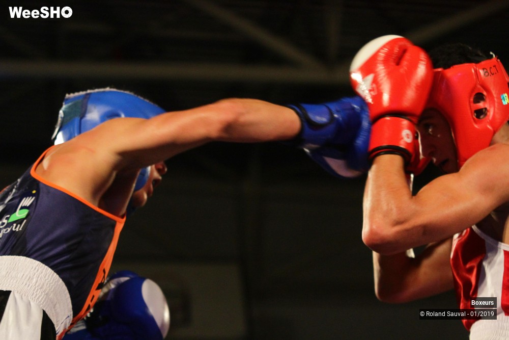 25/41 photos du spectacle Les combats amateurs
