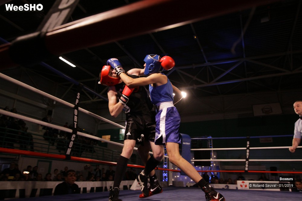 27/41 photos du spectacle Les combats amateurs