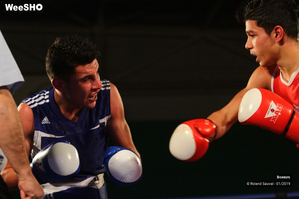 40/41 photos du spectacle Les combats amateurs