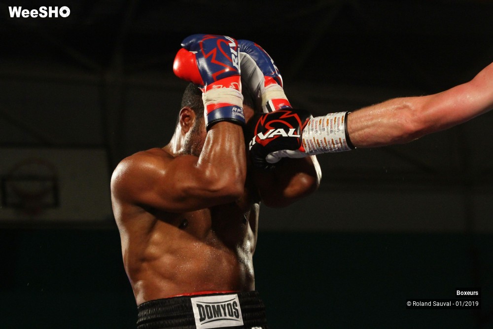 22/29 photos du spectacle Les combats Pro