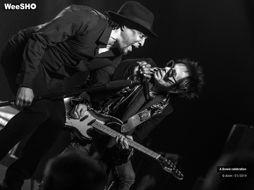 8/24 photos du spectacle A Bowie celebration