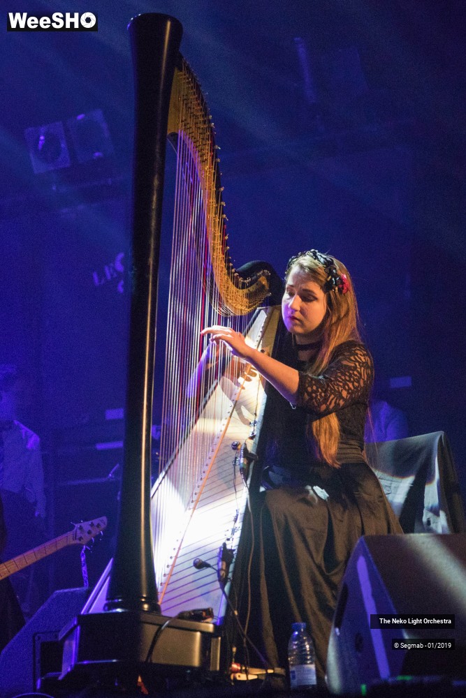 1/33 photos du spectacle The Neko Light Orchestra