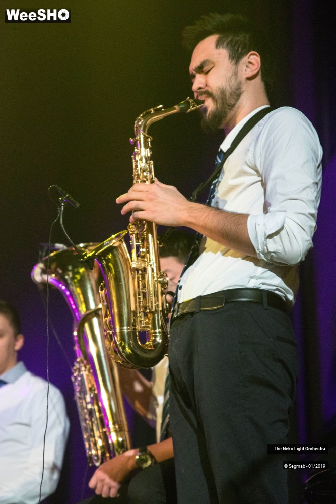 2/33 photos du spectacle The Neko Light Orchestra